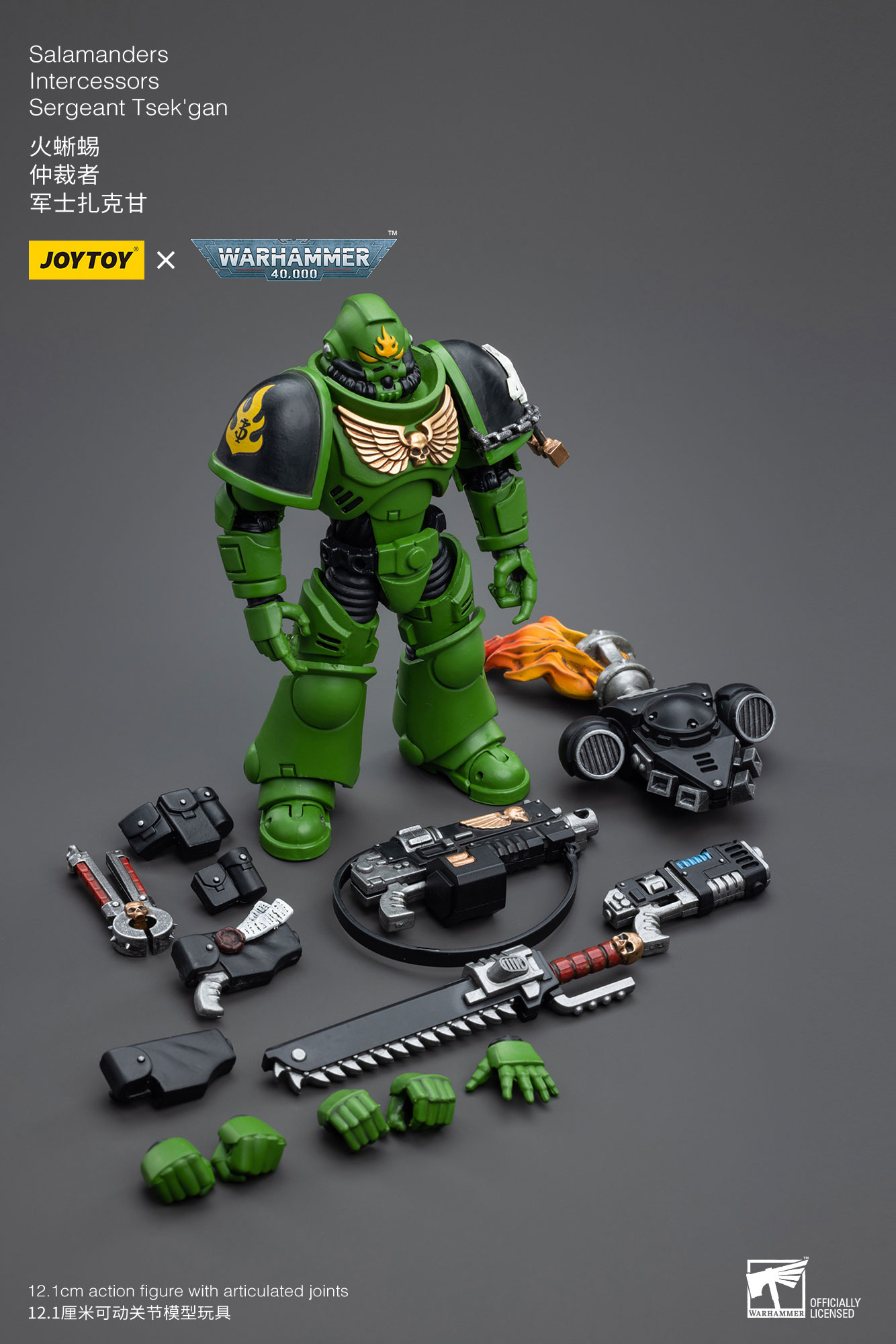 [JoyToy] Salamanders Intercessors Sergeant Tsek’gan JT5239-1688566552.jpg
