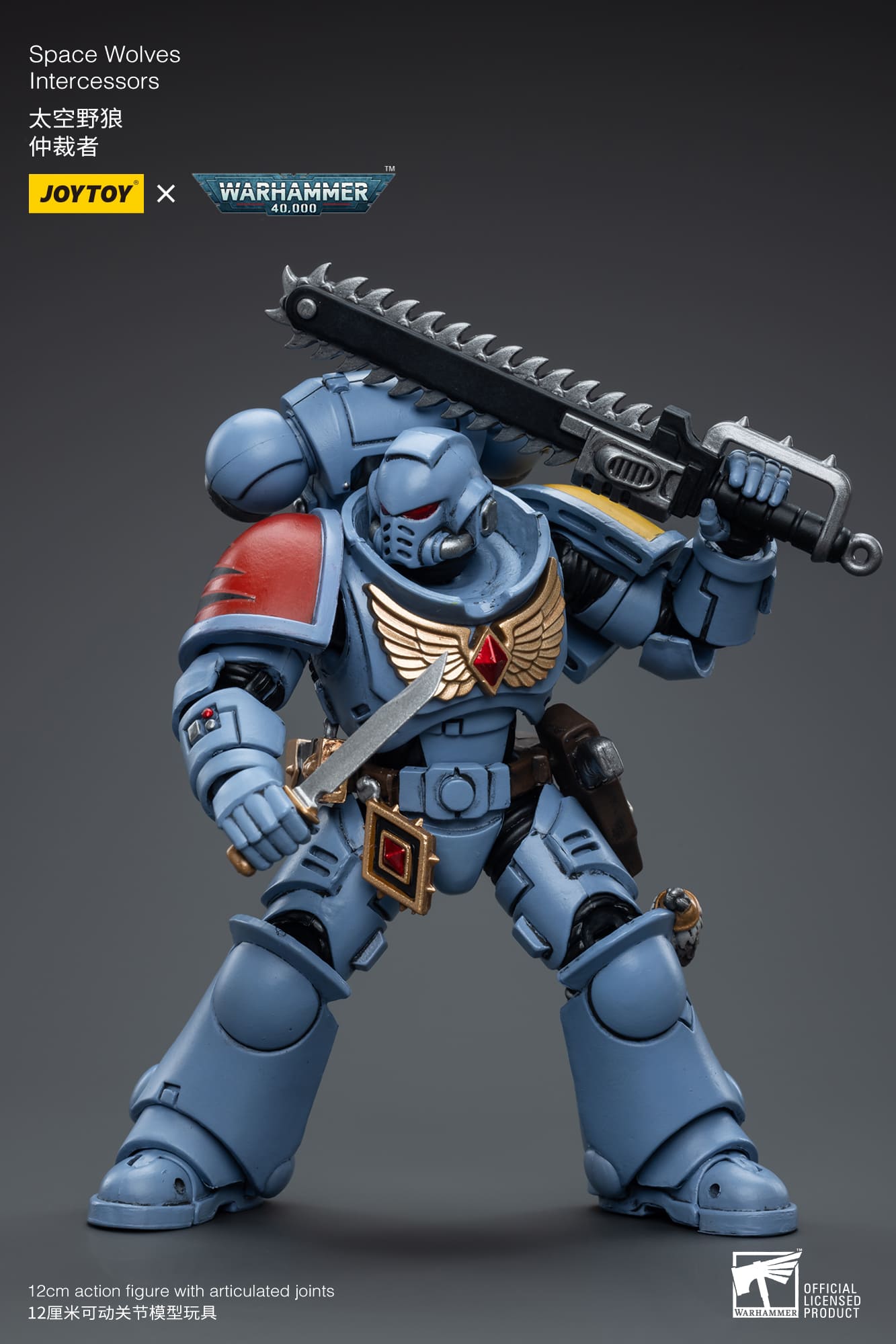 (JOYTOY) Space Wolves Intercessors JT6625-1691325537.jpg