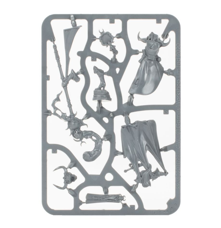 WARHAMMER AOS: HEDONITES SHARDSPEAKER OF SLAANESH-1706446760.jpg