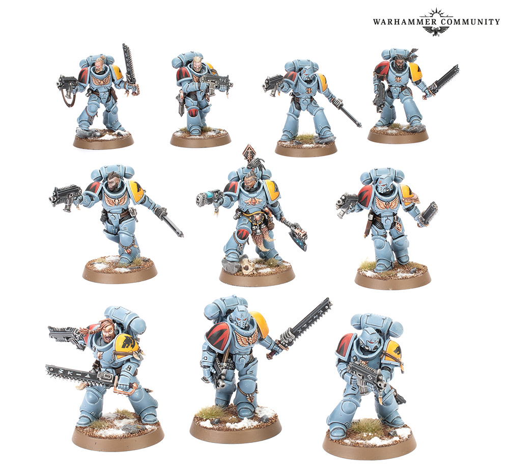 WARHAMMER 40K SPACE WOLVES ARMY SET (ENGLISH)-1747638042-h85g9.jpg