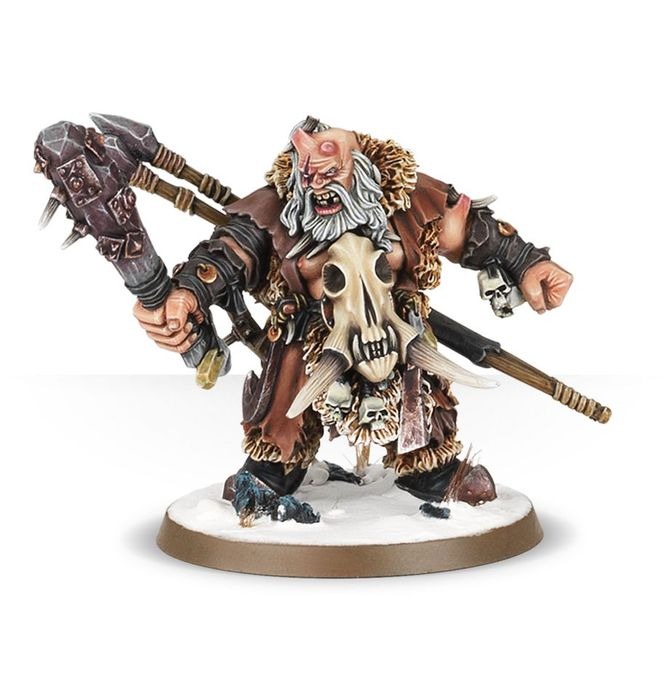 WARHAMMER AOS: ICEBROW HUNTER-1748514271-xhOyW.jpg