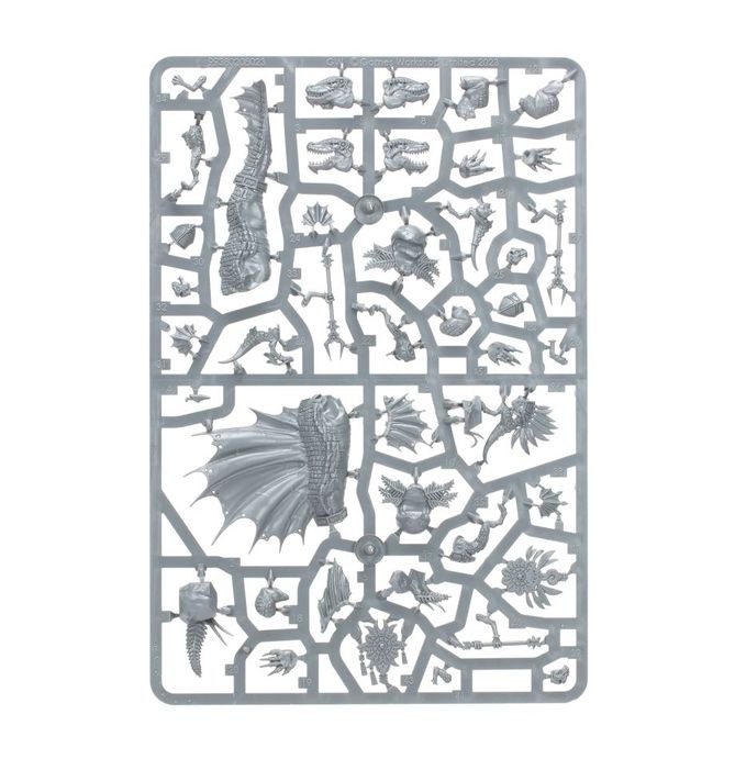 WARHAMMER AOS SERAPHON: SPAWN OF CHOTEC-1754145050-E2vYa.jpg