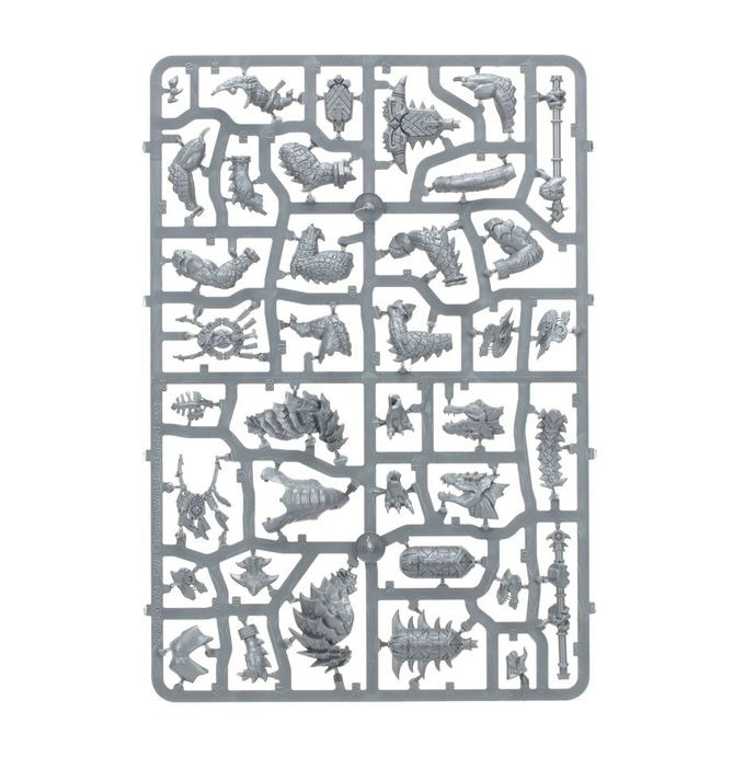 WARHAMMRE AOS SPEARHEAD: SERAPHON-1754145732-WaqqB.jpg