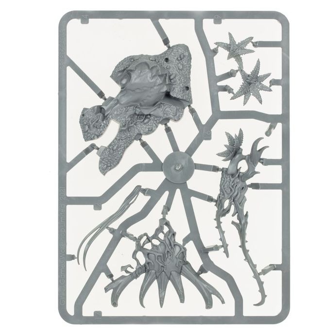 WARHAMMER AOS SYLVANETH: WARSONG REVENANT-1754153603-yrnKp.jpg